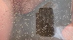 SophiesW3tWorld Onlyfans video collection – 219
