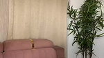 Evequinn 2 amaizing dildo blowjob