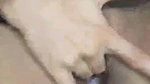 Khadija37 Private show face show and pussy fingering
