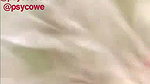 Noughty_Bhabhi (4) Ticket show face show and pussy fingering1