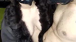 RUBDIPUSSY (2) blowjob