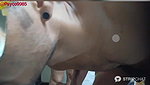 Strip_Couple_love (3) Ticket show spreading both holes
