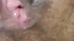 Friend wife sexy pussy