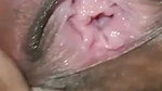 Friend wife sexy pussy
