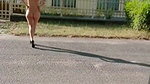 Mofos – Public Pick Ups – Rear Caught in the Headlights starring Sandy Ambrosia_753c309c