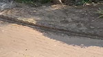MADY ALMOST GETS CAUGHT MASTURBATING IN PUBLIC PARK_9c2b8e7a
