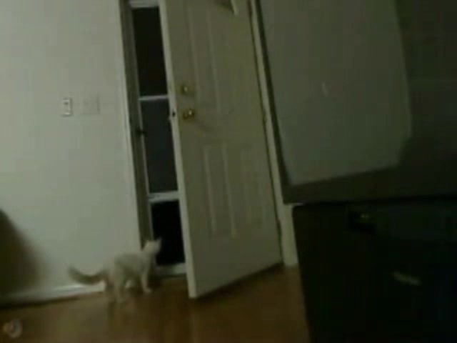 Frame 10