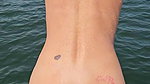 EzHotPorn.com – Amateur Asian Sex in Public_863eb99c