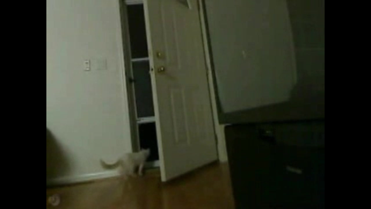 Frame 10