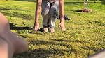 Slut anal sex and blindfold in public_17d1336e