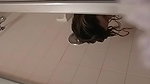 Shameless Lucy Ravenblood fucking pussy with corn in public_a50bc747