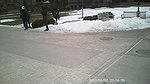 Risky Forest Fuck with a Stranger – Caught in Public Again_dc5fddbd
