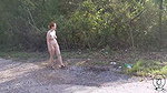 Quick cash in public Operation Pussy Run_3439d608