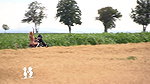 Public agent blowjob compilation Domestic Disturbance Call_55963a90