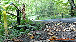 PUBLIC AGENT – Raven-Haired Victoria Nyx Gets Offered Cash For A Quick Fuck In An Abandoned House_3110d259