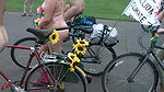 On the beach an unknown girl sucks my cock. IN PUBLIC_63eb5bbf