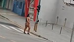 Ahegao Jinx pleasures herself – Annie May May public show_acc1c290