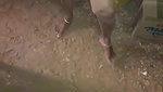 Indian Sexy Women Dress changing Videos Recorded By her Husband.