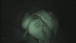 Chubby big tits star Krystal Swift undressing in a car on the way to public orgy_9a9a91bd