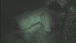 Chubby big tits star Krystal Swift undressing in a car on the way to public orgy_9a9a91bd