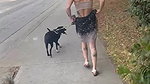 come on guys would you come out in public with me dressed like this if i offer to suck your cock while you film it_80cbf3b5