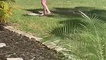 Cum on Hot Blonde After Outdoor Public Sex_adc4dd51