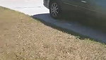 Cum on Hot Blonde After Outdoor Public Sex_adc4dd51