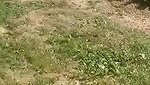 Cum on Hot Blonde After Outdoor Public Sex_adc4dd51
