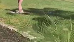 Cum on Hot Blonde After Outdoor Public Sex_adc4dd51