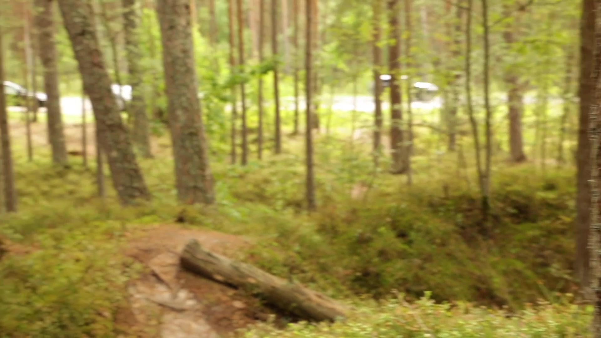 Frame 10