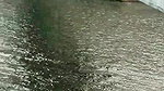 Half horseman shows His BBC In the Street in PUBLIC_f8bba518