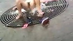 He eats my ass in public – My boyfriend eats pussy in the Outdoor_06c866f9