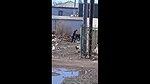 Outdoor orgasm in public on the car_fa50a7d3