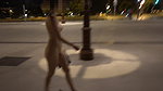 OUTDOOR PUBLIC MASTRUBATIONSORRY ABOUT THE SOUND WAS WINDY_bf0de0f9