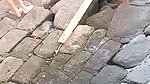 PISSING THROUG MY PANTS in PUBLIC_2ca2c5cd