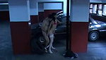 Risky Public Squirting in the Park While Strangers Walk By Couldnt Stop My Fingers_7e5aad8e