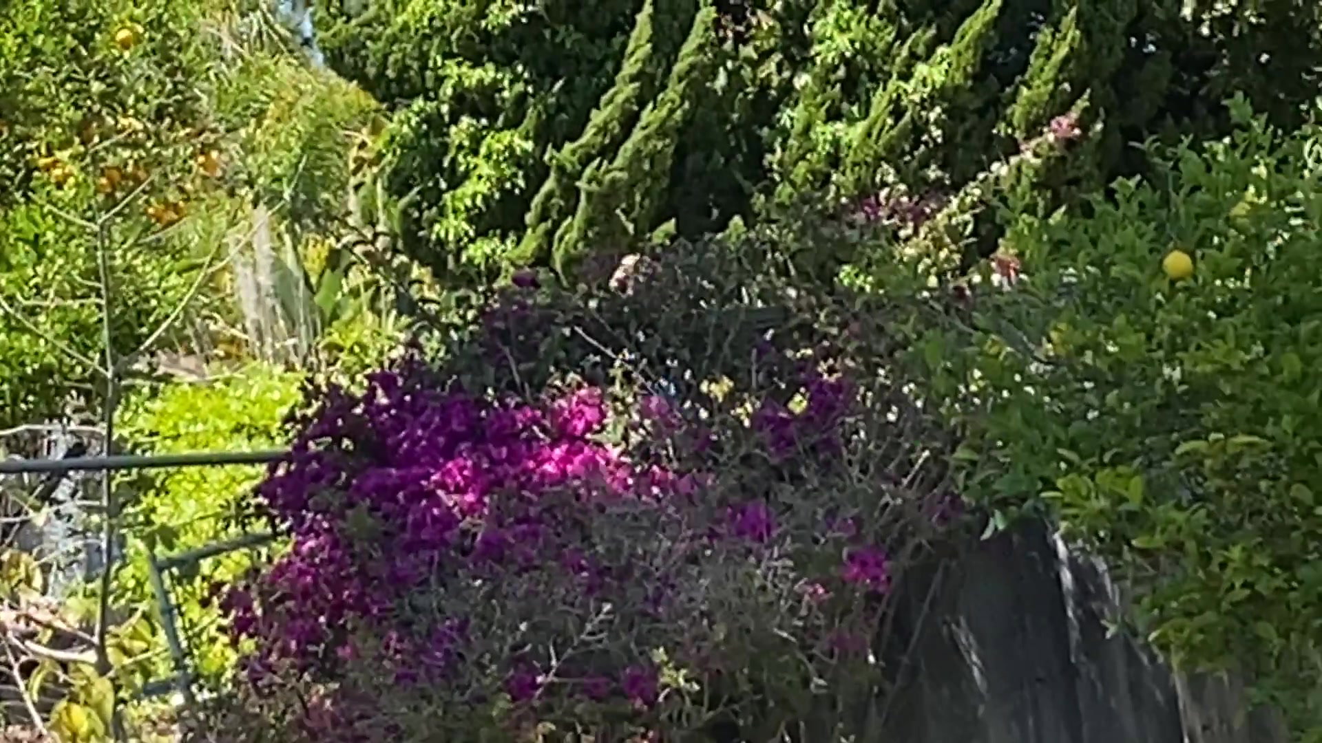 Frame 10