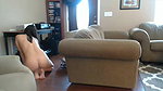 Underwear gay sex boy Hot public gay blowjob_6a9e49c3