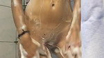 Beauty_in_the_Shower
