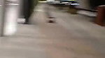 Crazy_Woman_Naked_at_Chilean_Airport