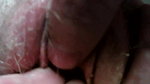 fingering and toying wifes pussy till orgasm