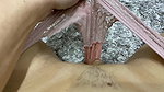 Horny amateur girl in wet panties selfie playing with her juicy pussy after orgasm