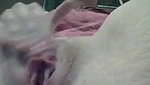 Horny blonde girl rubbing clit till squirting orgasm on webcam close up