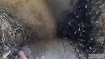 Real Desi Bhabi Close Up Fuck.
