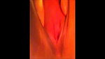 teen masturbating with hairbrush ass and pussy till orgasm