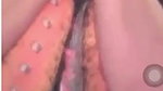 Mallu Bhabhi Showing Her Boob On VC