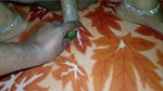 Aaj savita bhabhi ki chut me Khira or silicone dal ke savita bhabhi ki moti chut ko maje diye savita bhabhi boli jija aaj meri chut fad do