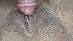 Bang sex with desi bhabhi