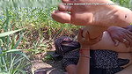 Beautiful stepsister and brother from the village fucking their sister’s ass in their wheat field Sexy video of pure desi stepsister and stepbrother open field