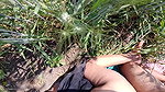 Beautiful stepsister and brother from the village fucking their sister’s ass in their wheat field Sexy video of pure desi stepsister and stepbrother open field